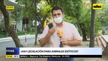 ¿Hay legislación para animales exóticos?