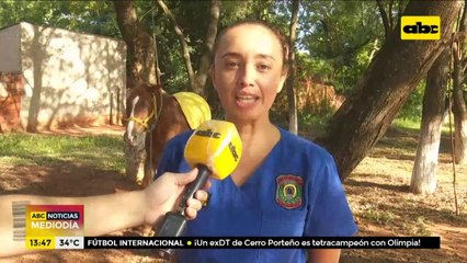 Policía Montada ofrece servicio gratuito de “Equinoterapia”