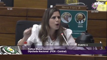 Sesión de Diputados termina a los gritos, por tratamiento de pedido de crédito que acusan terminaría en "plata je'u"