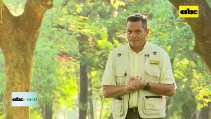 ABC RURAL: Análisis de tejido vegetal, define necesidades o excesos del cultivo