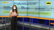 Pico de casos confirmados y fallecimientos en 2021