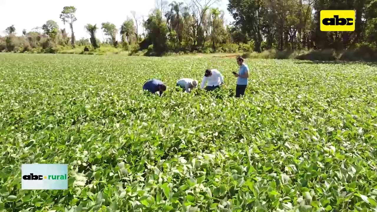 ABC RURAL: Productor adopta Tecnología 5.0 y explica sus ventajas