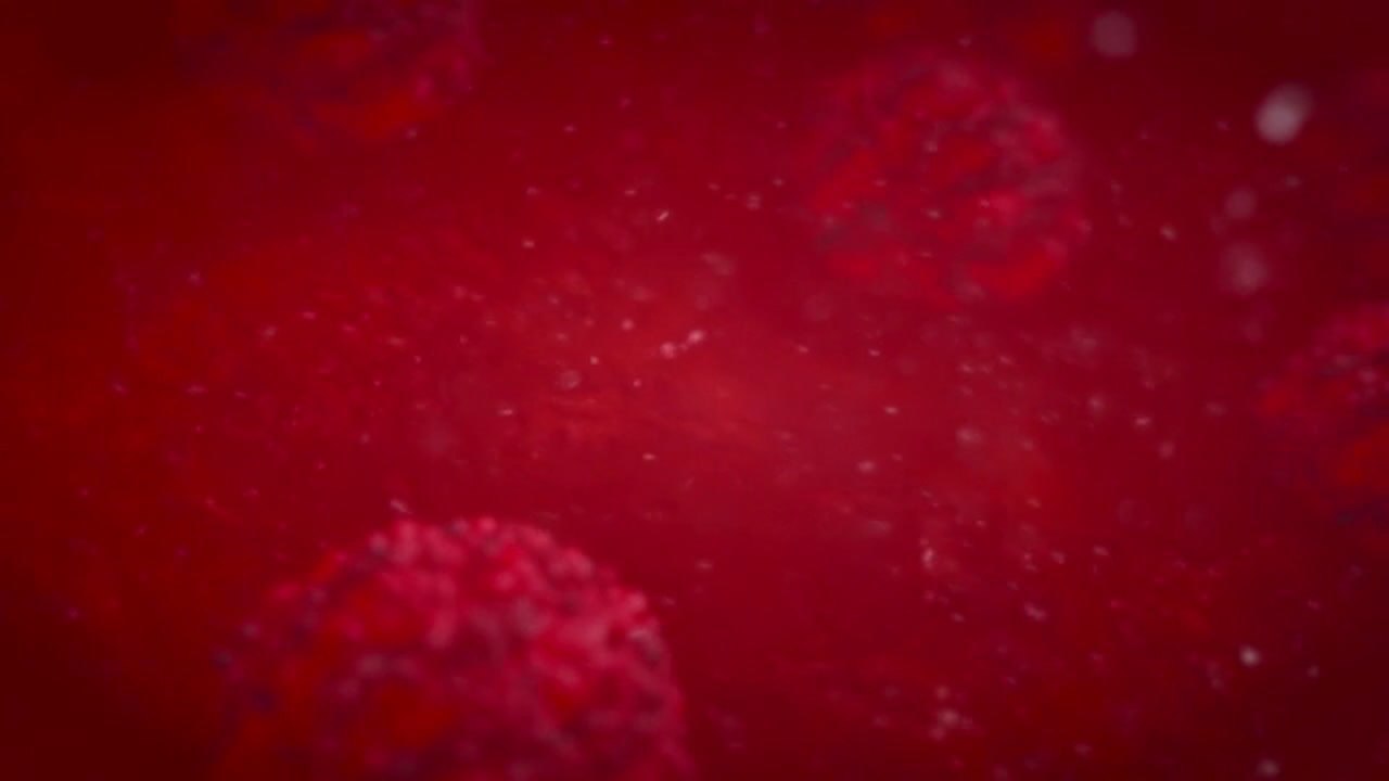 Mutaciones Del Virus