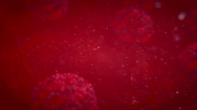 Mutaciones Del Virus