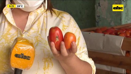 Mercado de Abasto: Comerciantes preocupados por la suba del tomate