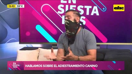 Adiestramiento canino ¿Cómo aprendemos?