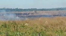 Incendio Forestal Avanza También En Santaní