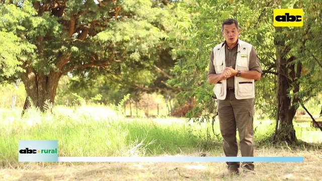 ABC RURAL: Tratamiento de semillas en campo y su importancia