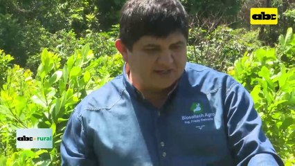 ABC RURAL: Control de plagas y enfermedades en Yerba con productos biológicos