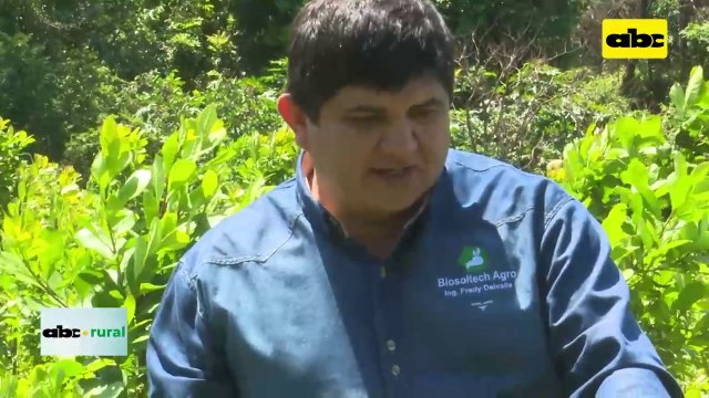 ABC RURAL: Control de plagas y enfermedades en Yerba con productos biológicos