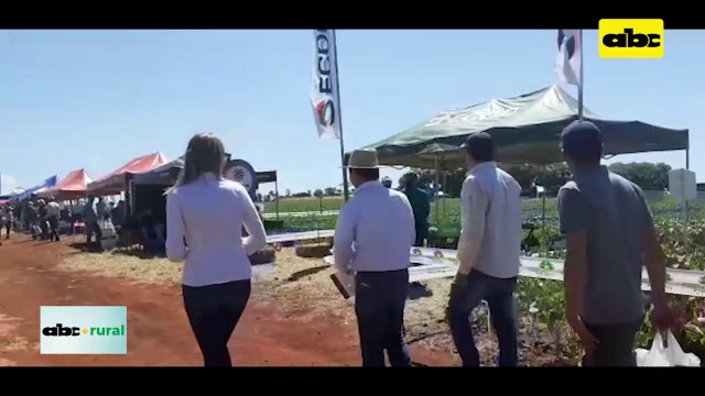 ABC RURAL: Corteva en jornada de campo en Pirapó