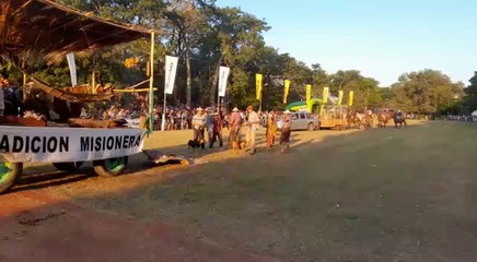 Desfile En La Fiesta De La Tradición Misionera