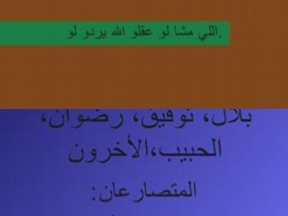 la pelea de dos torros marroquies en malaga wlad guelmim viv