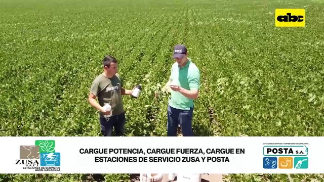 ABC RURAL: Resultados del uso de biológicos y buena nodulación de soja