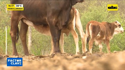 Sequía: Reunión de productores y el Gobierno