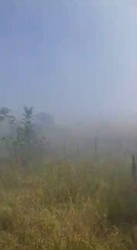 Pobladores de Concepción exigen clausura de vertedero