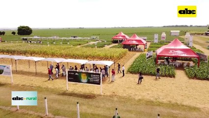ABC RURAL: Sumitt Agro trae a Paraguay Planity, fungicida con nuevas moléculas