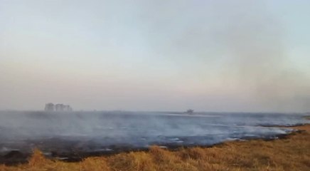 Incendios forestales en Carapeguá
