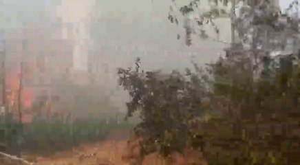 Controlan incendio de gran magnitud en Eusebio Ayala