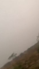 Bomberos festejan caída de lluvias en zonas de incendios de pastizales