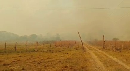 Controlan incendio de pastizal en Laureles