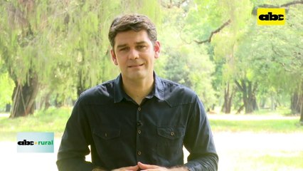 Fertilizante hidrosoluble y sus ventajas en horticultura