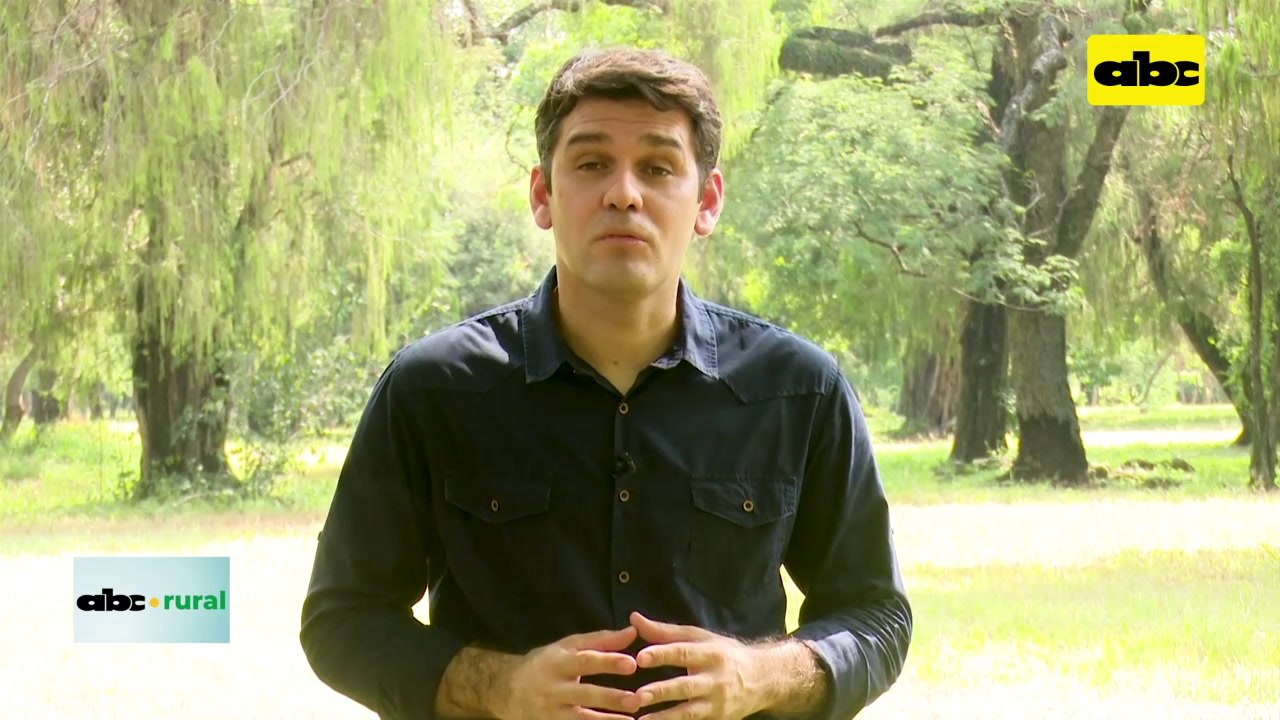 Cómo controlar estrés calórico en vacas lecheras