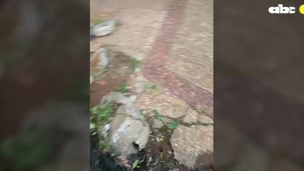 Nuevos “Arroyos” De La Essap En Lambaré