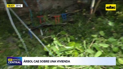 Árbol cae sobre una vivienda en la zona de la Chacarita
