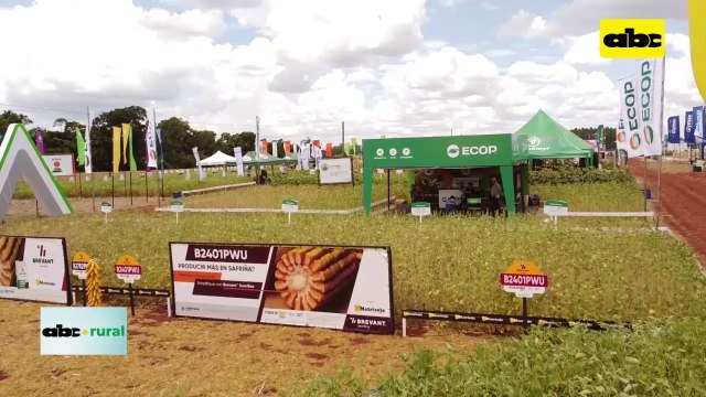 Productor debe analizar su campo y realizar fertilizaciones