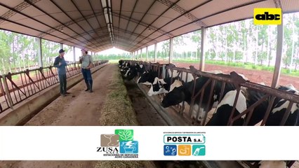 Productor extensivo habla de que hará ante perdida por sequía