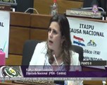 Diputada Kattya González durante sesión del 27 de agosto de 2019