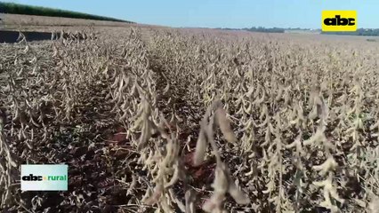 Agrotec presente en Jornada de Campo de Sommerfeld