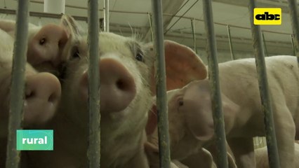 Inauguran nuevo centro de distribución en Coronel Oviedo