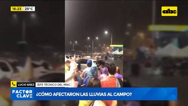 ¿Cómo afectan las lluvias a la producción agrícola?