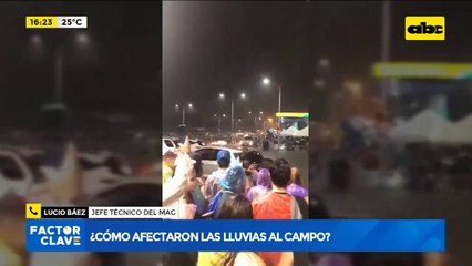 ¿Cómo afectan las lluvias a la producción agrícola?