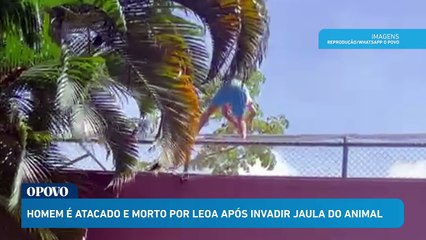 Un jeune homme a été tué par une lionne dans un zoo brésilien sous les yeux des visiteurs, après avoir pénétré dans son enclos en escaladant un mur de six mètres