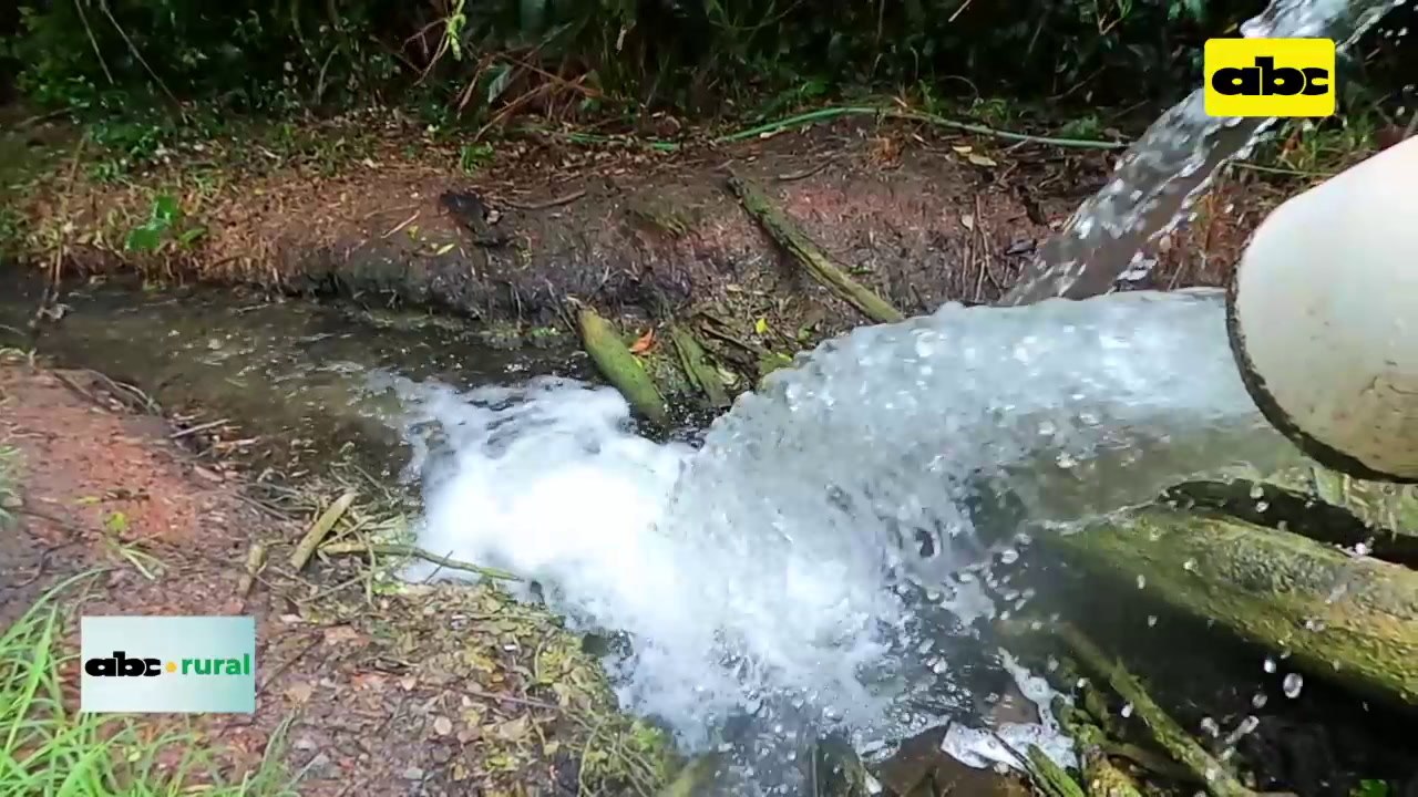 Uso de microorganismos eficientes en diversas áreas