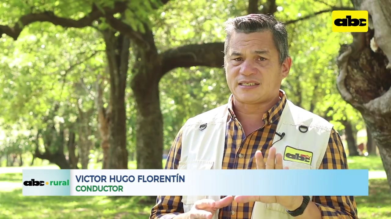 Importancia del tamaño de las vacas lecheras en Paraguay