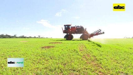 Control de plagas en soja y maíz