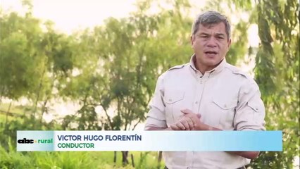 Paraguay como país ideal para inversiones forestales en forma sostenible