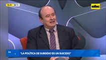 Según analista la política de subsidio es un suicidio