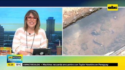 Avda. Mcal López en estado calamitoso