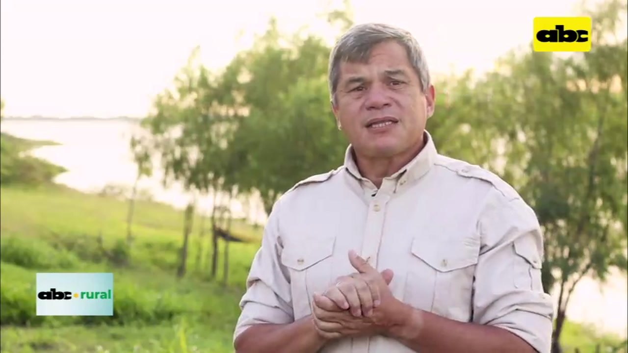 Resultados de tecnología de aplicación de productos en cultivos