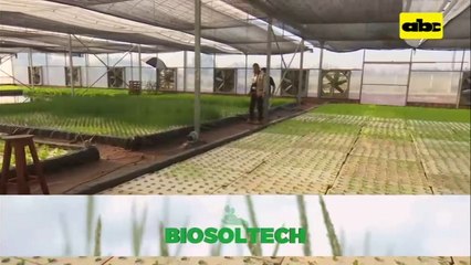 CADAM habla de menor importación de maquinarias del Agro