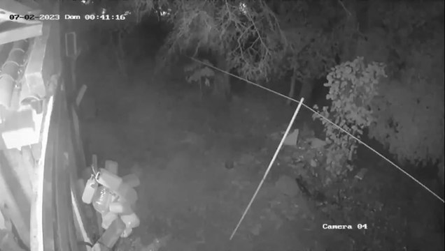 constantes robos domiciliarios preocupa a vecinos de Loma Pyta