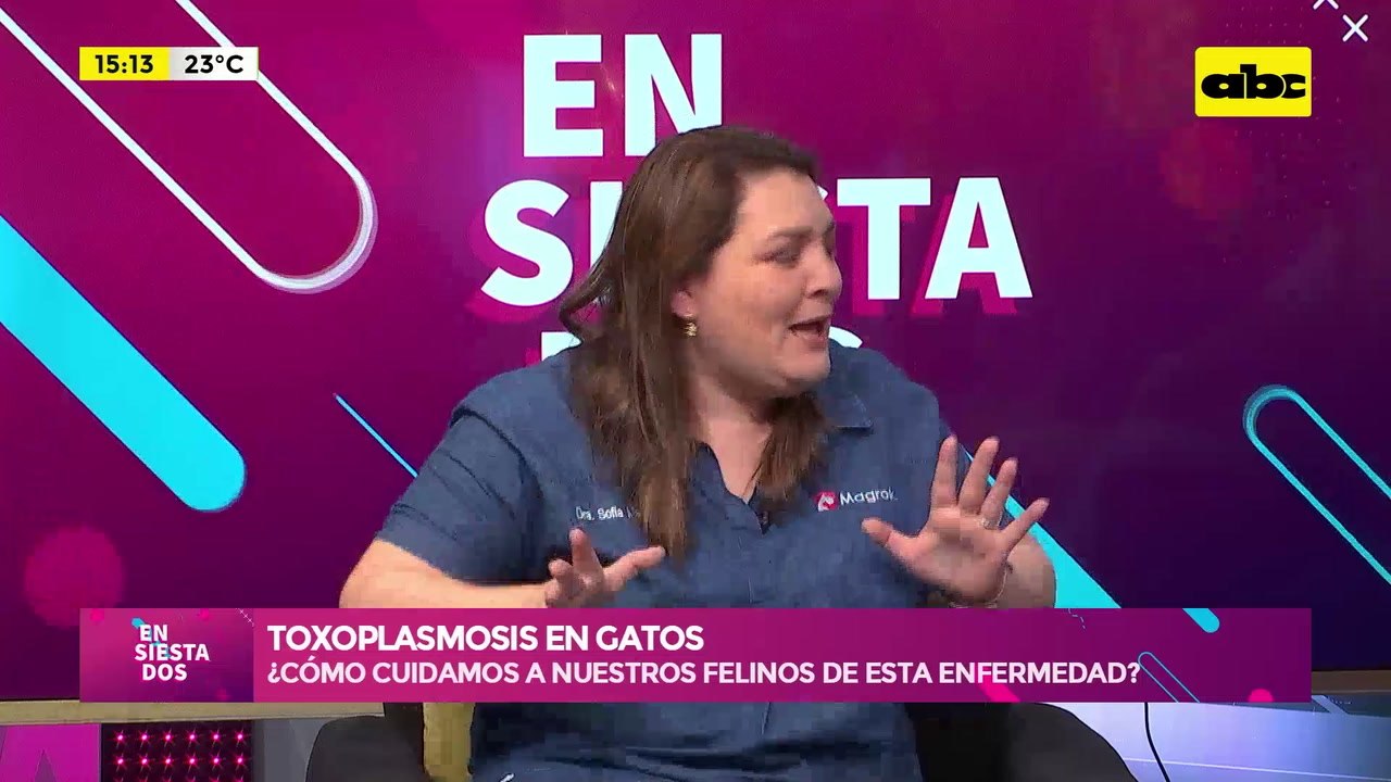 Video: toxoplasmosis en gatos