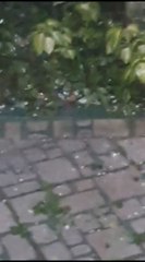 Lluvias y granizada en Acahay