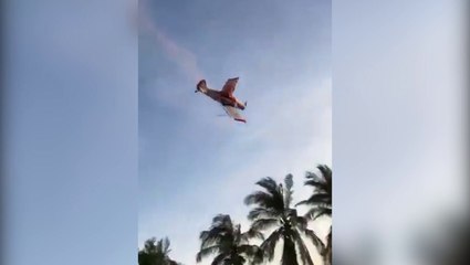 Fatal accidente aéreo en fiesta de revelación de sexo en Mexico