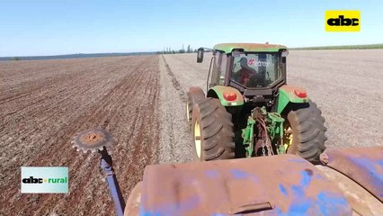 Video: Preparan apertura de campaña de soja 2023/2024